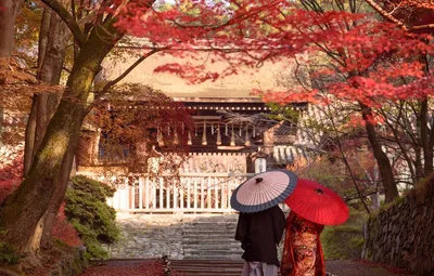 Япония осенью фото