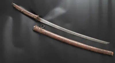 Катана японский меч вакидзаси клинок, катана, разное, оружие, катана png |  PNGWing