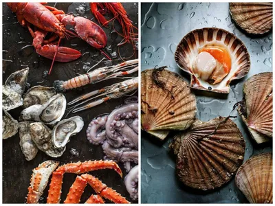 Морепродукты Морской гребешок - «🌊Сожрать сырым или приготовить? 🐚 5  простых рецептов приготовления морских гребешков на створке с икрой и без.  » | отзывы