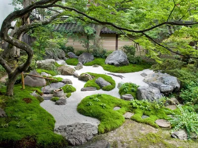 Как правильно подобрать камни для японского сада