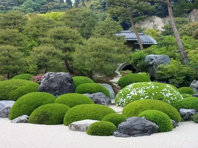 Японский сад камней | zonagazona | Дзен