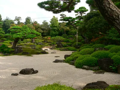 Японский сад камней своими руками.Пошаговая инструкция.