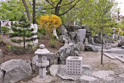 Владивосток | МИД Японии поддержит проект реконструкции японского сада  камней ВГУЭС - БезФормата