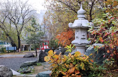 МИД Японии поддержит проект реконструкции японского сада камней ВГУЭС .  Владивостокский государственный университет ВВГУ