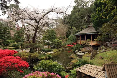 Японский сад своими руками: 23 фото-идеи | 23 фото