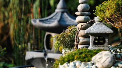 Японский сад камней: как украсить участок, используя обычные булыжники -  ГородЧе