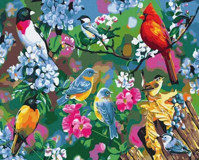 Картина по номерам Яркие птицы (Brushme GX33929) купить недорого.