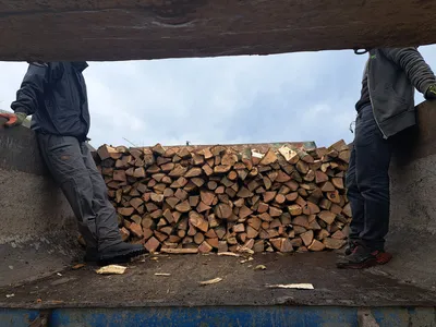 Купить Складометр дров, цена 2500 грн в Червонограде — Prom.ua  (ID#1766727260)