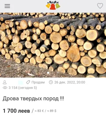 В очереди на дрова по льготной цене в Гагаузии тысячи семей: почему так  произошло - GagauzYeri.com