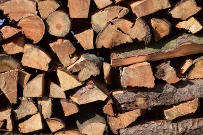 Сосновые дрова купить в Киеве и Киевской области, цена от производителя