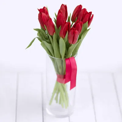 Букет из 11 красных тюльпанов. Купить цветы.