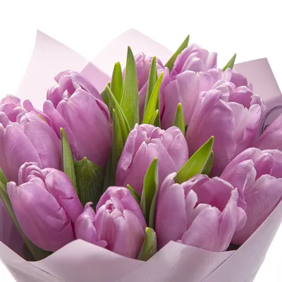 11 фиолетовых тюльпанов - купить в Москве по цене 1990 р - Magic Flower