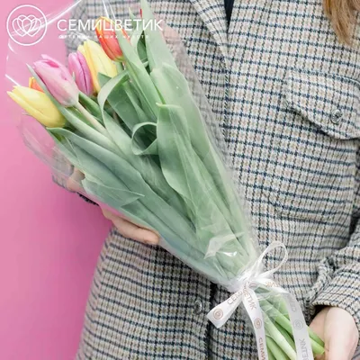 Букет из 11 тюльпанов микс в пленке купить в СПб в интернет-магазине  Семицветик✿