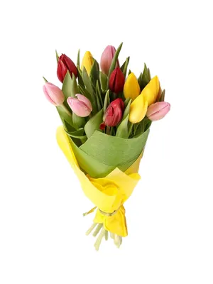 Букет из 11 разноцветных тюльпанов в упаковке из фетра купить в Твери по  цене 1520 рублей | Камелия