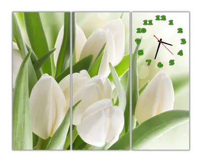 Красивая Модульная картина с часами Белые тюльпаны 30х73 30х73 30х73 см,  цена 1755 грн — Prom.ua (ID#1211759985)