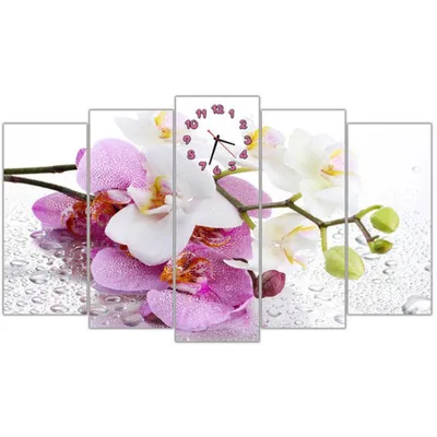 Красивая модульная картина с часами на стену в гостиную IdeaX Белые розовые  орхидеи, 150х90 см, цена 2499 грн — Prom.ua (ID#989260134)