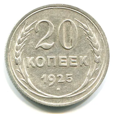 Монета 20 копеек СССР 1925 года (серебро) - купить в интернет-магазине OZON  с быстрой доставкой
