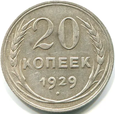 Монета 20 копеек СССР 1929 года (серебро) - купить в интернет-магазине OZON  с быстрой доставкой