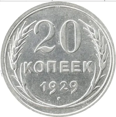 Купить Монета серебро \"20 копеек\" СССР XF 1929 год., цена 240 грн — Prom.ua  (ID#1526226337)