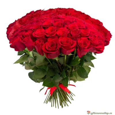 Букет из 35 красных роз 40 см. с бесплатной доставкой по Екатеринбургу |  ПроБукеты