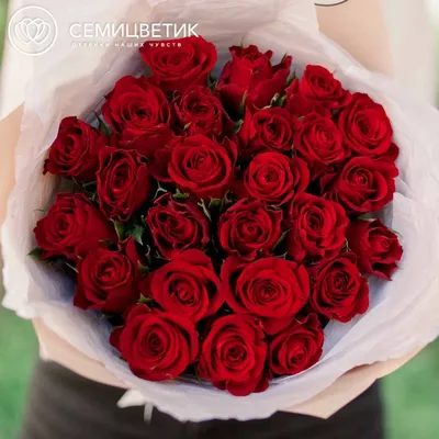 35 импортных, красных роз в букете, купить в Жлобине, закажи, а мы доставим.