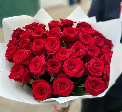 Букет из 35 роз купить с доставкой в Челябинске, заказать 35 штук красных  роз по выгодной цене, фото букетов