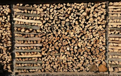 Лимит дров по сниженным ценам увеличен до 5 складометров | СП - Новости  Бельцы Молдова