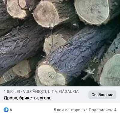 В очереди на дрова по льготной цене в Гагаузии тысячи семей: почему так  произошло? - Nokta