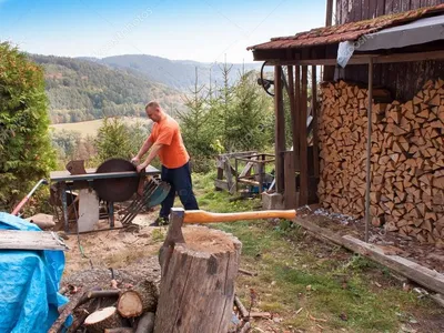 Какие дрова лучше покупать и как можно их сэкономить, рассказал Борис  Петрук из Винницкой области - «ФАКТЫ»
