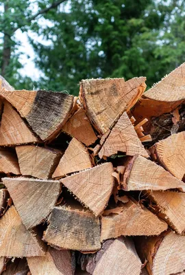 Жителям Молдавии разрешили покупать больше дров из-за роста цен на газ:  Молдавия: Бывший СССР: Lenta.ru