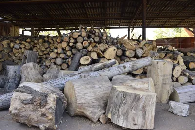 Увеличен лимит на продажу древесины для населения — решение властей |  Ziarul de Gardă RUS