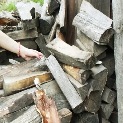 Нам бы зиму пережить»: Жители молдавских сел массово жалуются на  дороговизну дров - KP.MD
