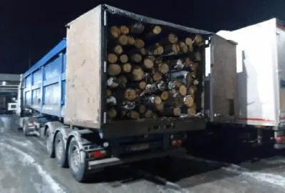 В Молдову привезли первую партию дров из Румынии, их раздадут нуждающимся -  Відкритий ліс