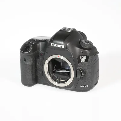 Praxistest: Canon EOS 5D Mark IV › Pictures - Das Foto-Magazin