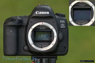 The DSLR I Am Not Retiring: A Long-Term Review of Canon 5D Mark IV |  PetaPixel