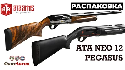 Ружье Ata Arms Neo 12 Walnut Combo 12х76 760мм купить в интернет-магазине  «Мир охоты»