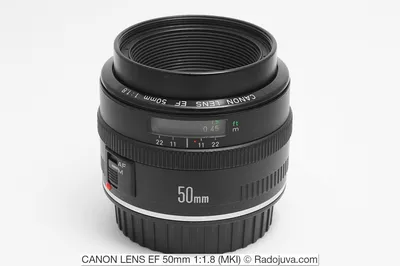 Is the Canon EF 50mm f/1.8 STM Lens Still Good in 2023? — SKYES Media