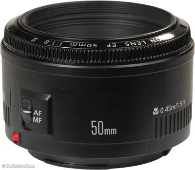 Canon EF 50mm f/1.8 STM Review - DustinAbbott.net