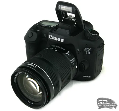 Обзор Canon EOS 7D Mark II: стоит ли обновляться? / Фото и видео
