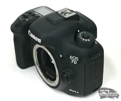 Обзор Canon EOS 7D Mark II: очень крутая репортерская камера - Hi-Tech  Mail.ru