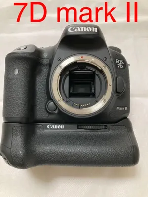 Canon EOS 7D пример фотографии 90064061