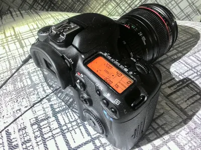 Обзор от покупателя на Цифровой зеркальный фотоаппарат Canon EOS 7D Body —  интернет-магазин ОНЛАЙН ТРЕЙД.РУ