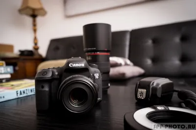 Обзор Canon 7D Mk II с примерами фотографий