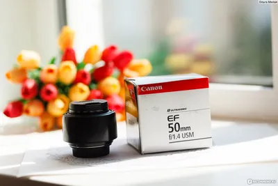 Canon EF 50 mm F1.4 usm - «Самый универсальный объектив на кроп и полный  кадр Canon EF 50 mm F1.4 usm! Мой год с этим объективом, примеры фотографий  на улице и в