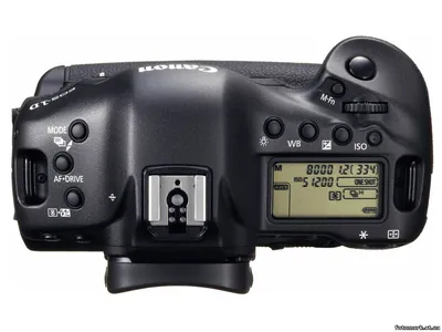 Обзор Canon EOS-1D X + видео