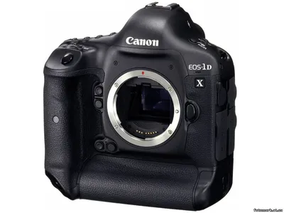 Обзор Canon EOS-1D X + видео