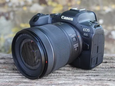 Первый взгляд на Canon EOS R6: универсальная беззеркалка для продвинутых  пользователей | Обзоры | Фото, видео, оптика | Фотосклад Эксперт