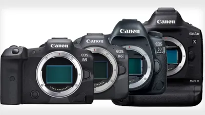 Тестирование ISO фотокамер Canon R5, R6, 5D Mark IV и 1D X Mark III –  Photo7.ru - сайт о фотографии