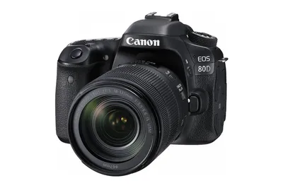 Canon EOS 80D | Фотосайт СуперСнимки.Ру