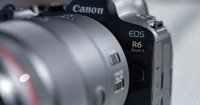Примеры снимков на Canon EOS R6 Mark II - Photar.ru